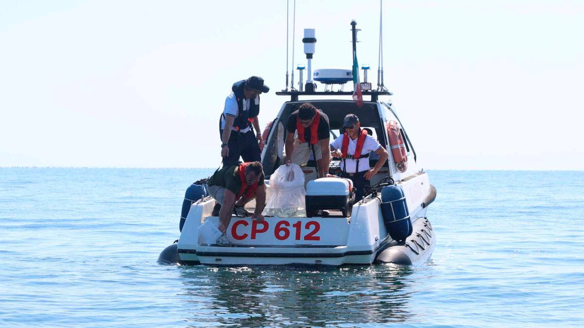 Cesenatico, scatta il progetto “Octo-Blu”: la Regione e l’Ateneo schierano il polpo contro il granchio alieno VIDEO e FOTOGALLERY
