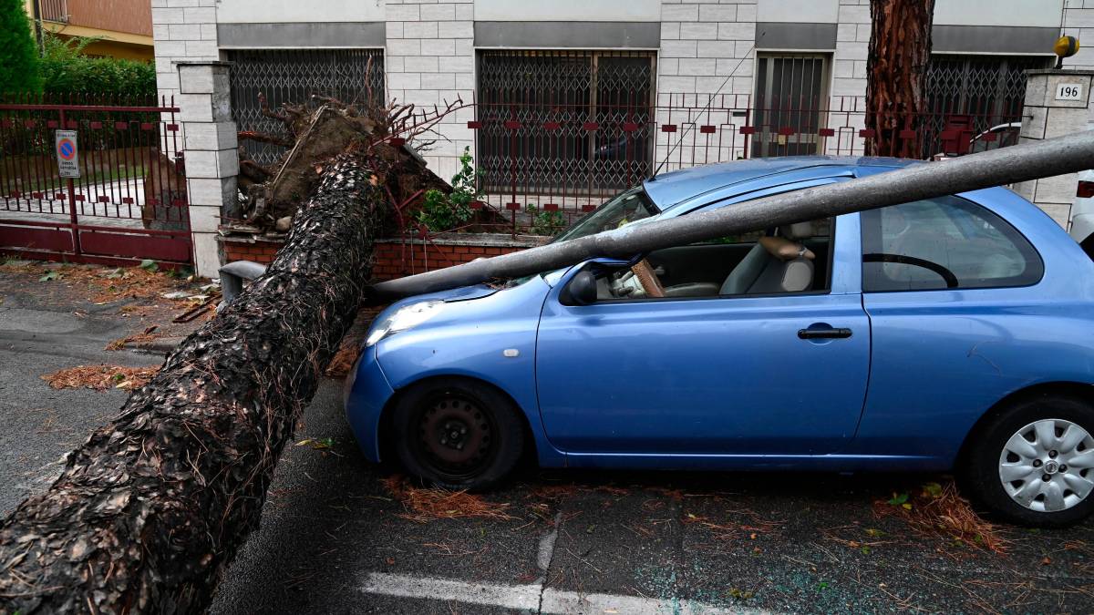Nubifragio a Forlì: una strage di alberi e rami caduti, chiusi parchi e giardini pubblici FOTOGALLERY