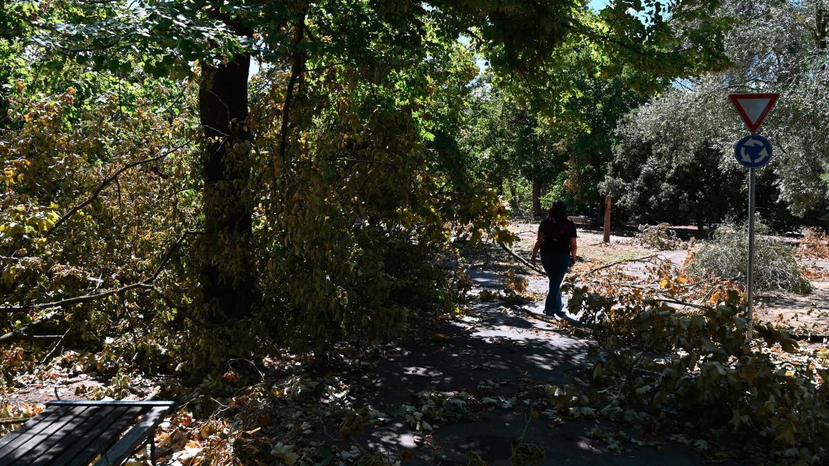 Il parco della Resistenza dopo il maltempo recente (foto Fabio Blaco)