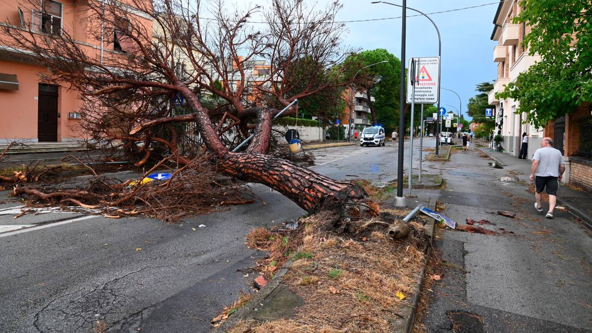 Nubifragio a Forlì: una strage di alberi e rami caduti, chiusi parchi e giardini pubblici FOTOGALLERY