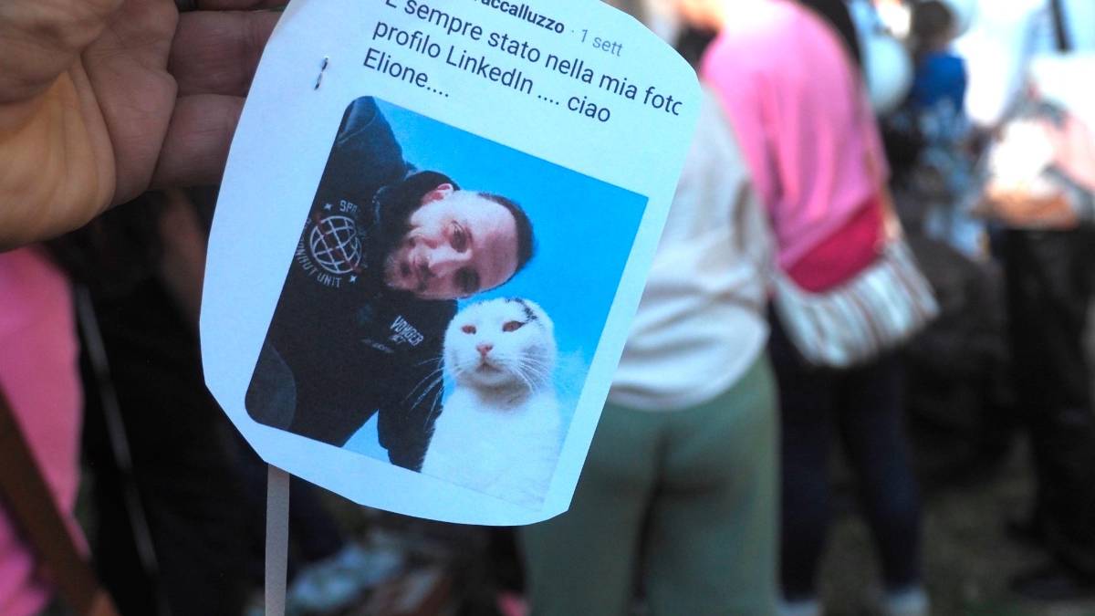 Russi, l’ultimo saluto ad Elio, il gatto della comunità