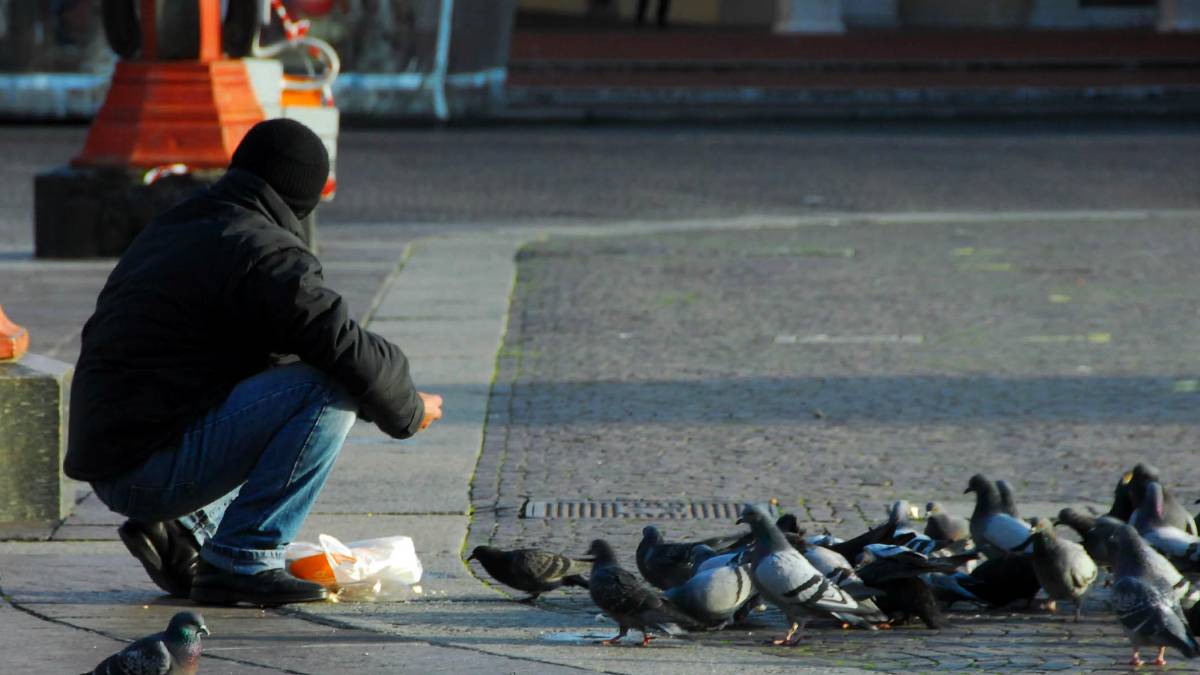 San Marino, stop al cibo per i piccioni: scatta il divieto in tutta la Repubblica