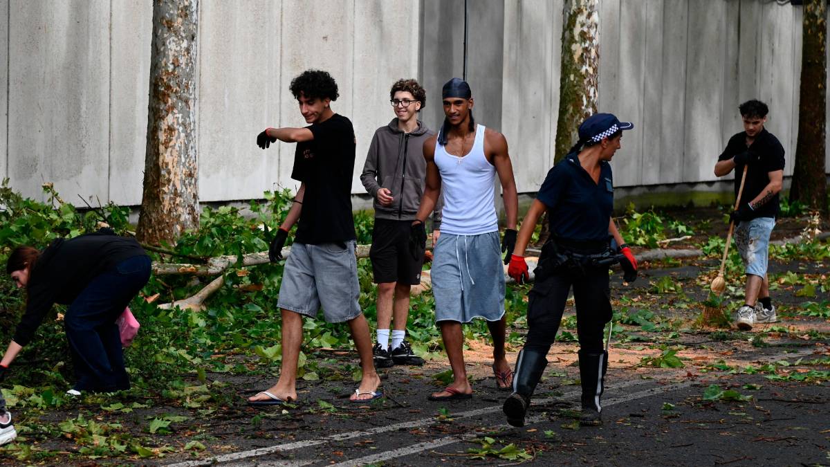 Nubifragio a Forlì: una strage di alberi e rami caduti, chiusi parchi e giardini pubblici FOTOGALLERY