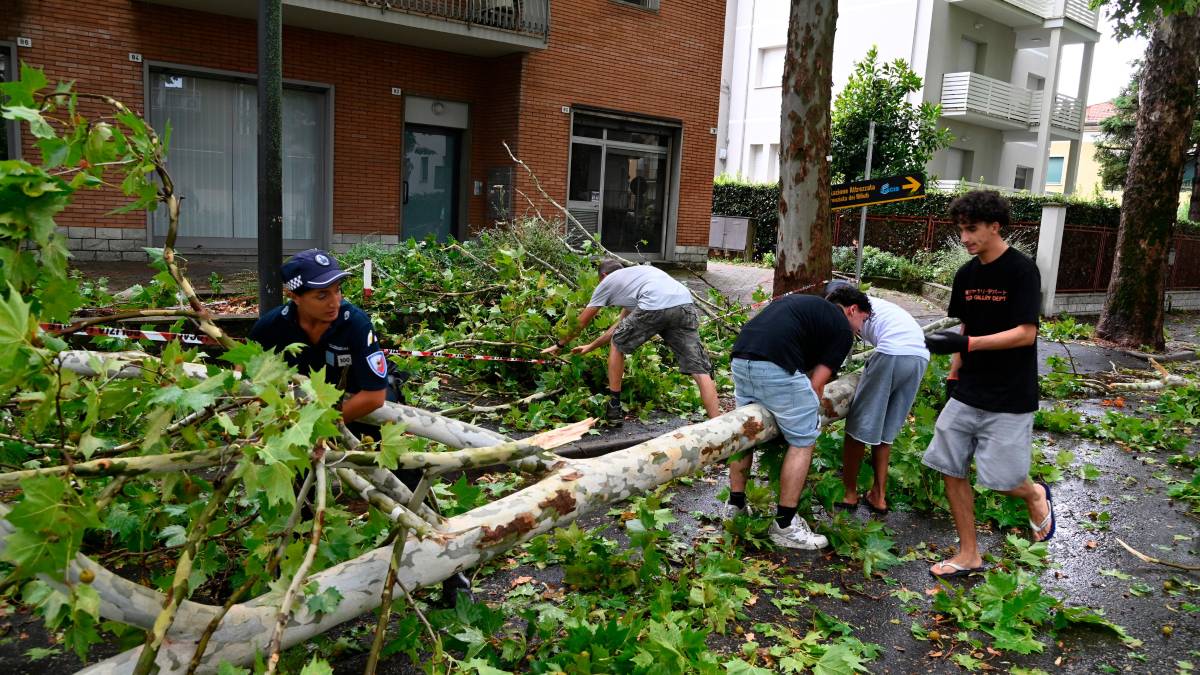 Nubifragio a Forlì: una strage di alberi e rami caduti, chiusi parchi e giardini pubblici FOTOGALLERY
