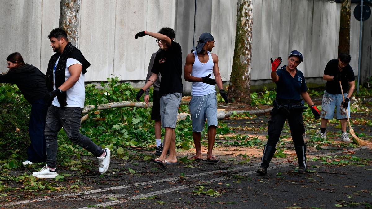 Nubifragio a Forlì: una strage di alberi e rami caduti, chiusi parchi e giardini pubblici FOTOGALLERY