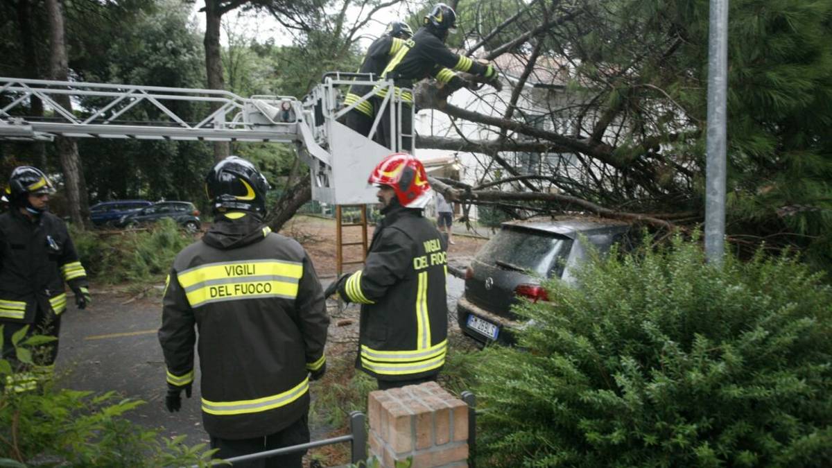 Maltempo, pino cade su due auto a Marina Romea, strada chiusa