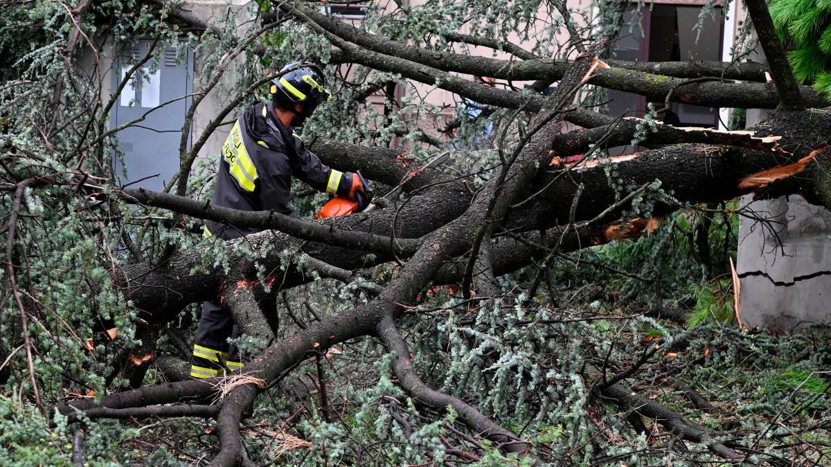 Nubifragio a Forlì: una strage di alberi e rami caduti, chiusi parchi e giardini pubblici FOTOGALLERY