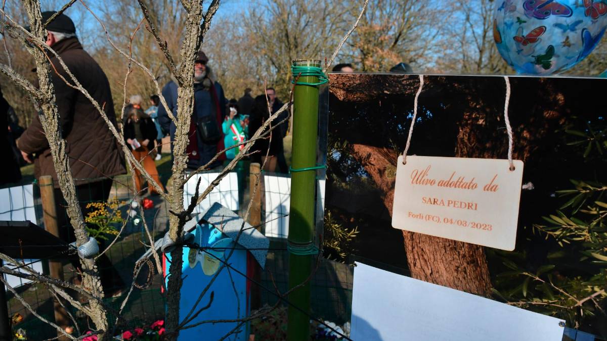 Un albero per Sara Pedri (foto Fabio Blaco)