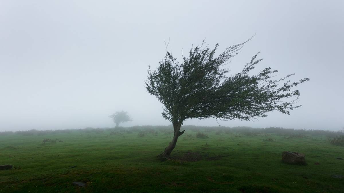 Allerta meteo arancione: giovedì vento e burrasca in collina e in appennino