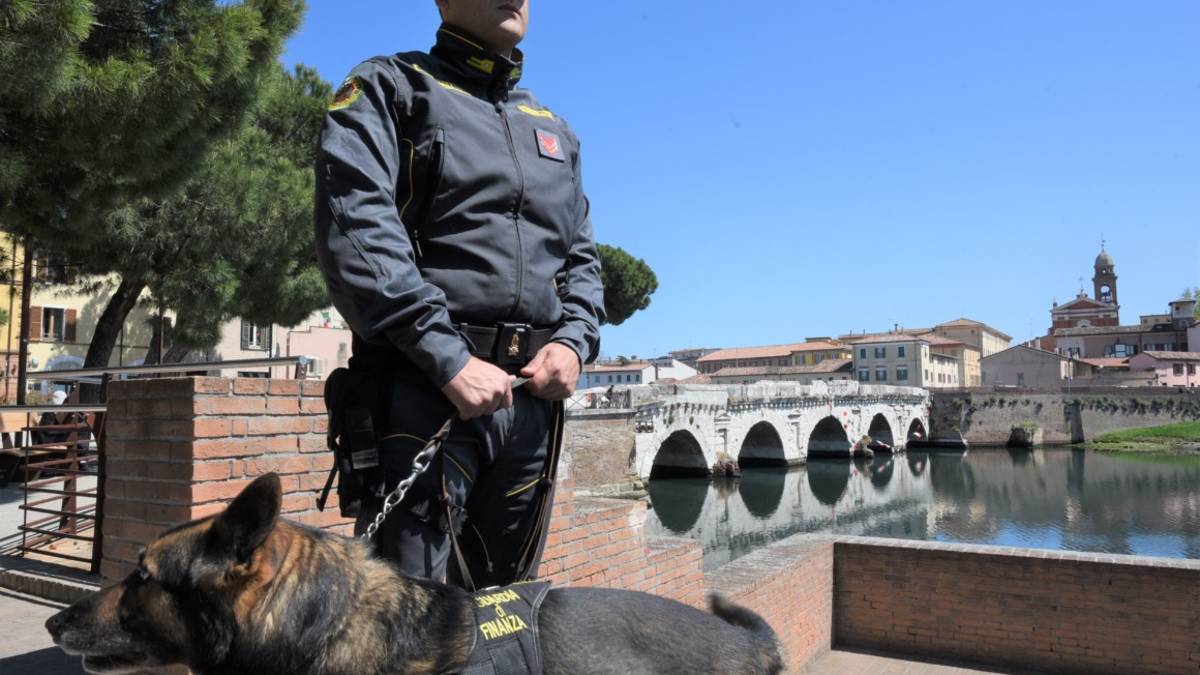 Rimini, spaccia cocaina e hashish alla stazione di Torre Pedrera, arrestata