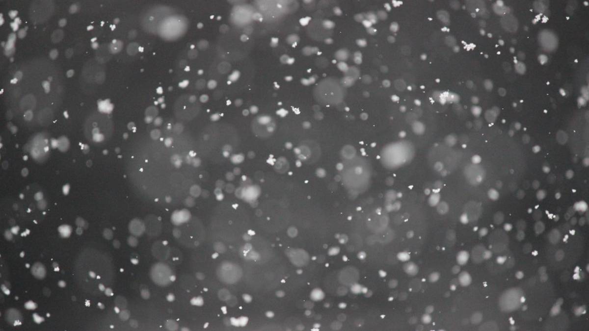 Meteo Emilia Romagna, arriva il vero inverno: prevista neve per mercoledì e domenica