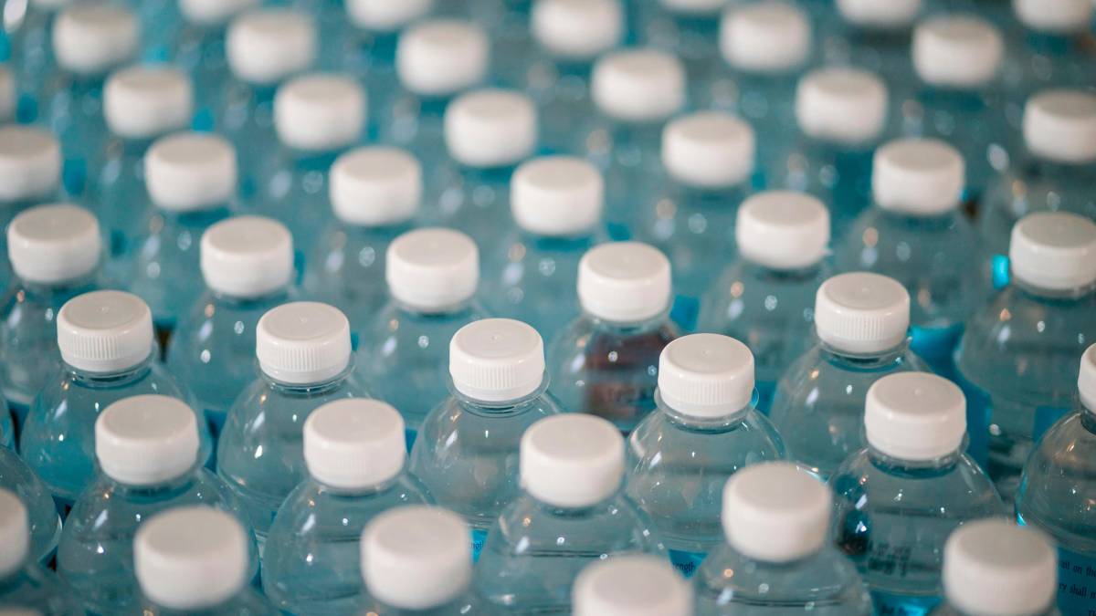 Microplastiche nel cervello: uno studio svela i rischi per la salute neurologica