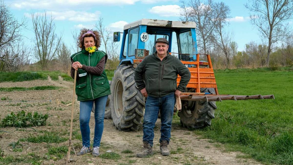 Imola, famiglia sconfigge il Covid. Amici curano la loro fattoria