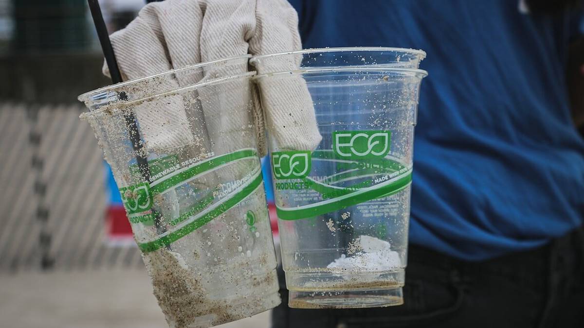 Bicchieri di plastica rovesciati in mare a Rimini