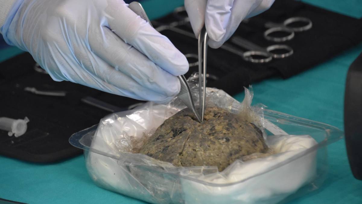 Serata di archeocucina con la pagnotta di 2mila anni trovata a Forlì
