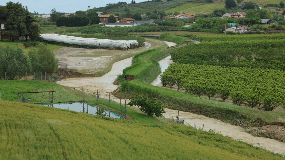 Agricoltura in ginocchio: 1,5 miliardi di danni dall'alluvione