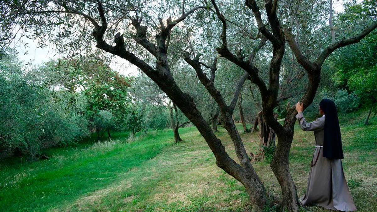 Giardini nascosti e antiche mura da riscoprire
