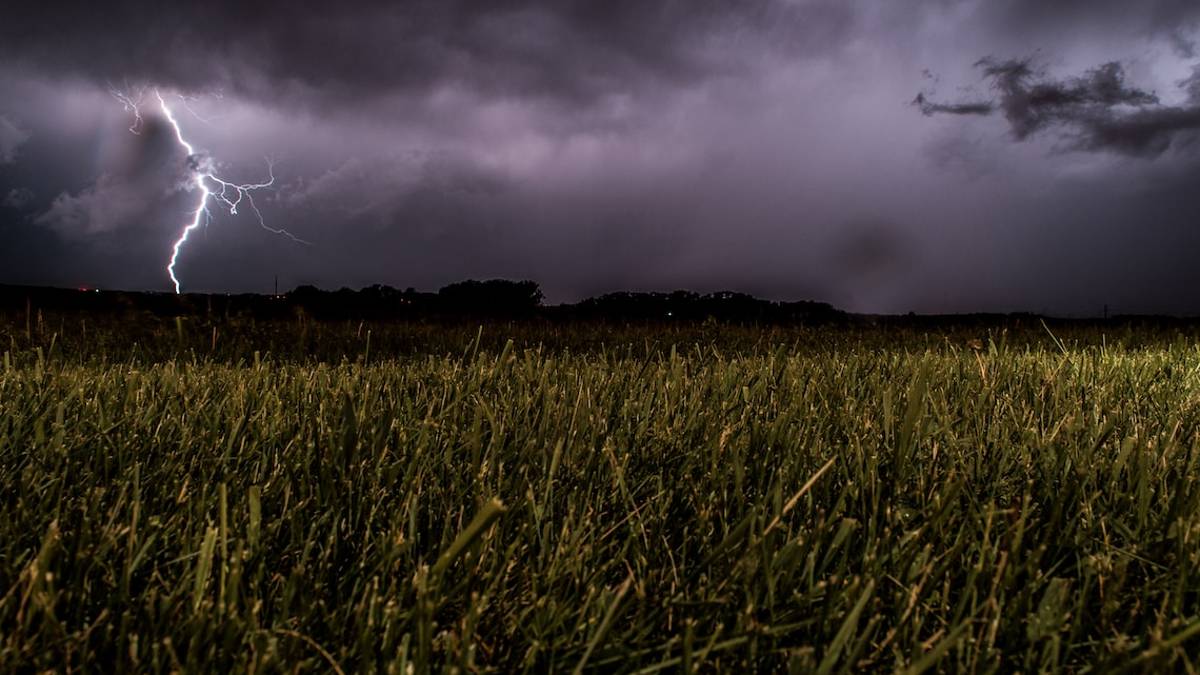 Meteo Romagna, pioggia battente: ecco i corsi d'acqua sotto osservazione