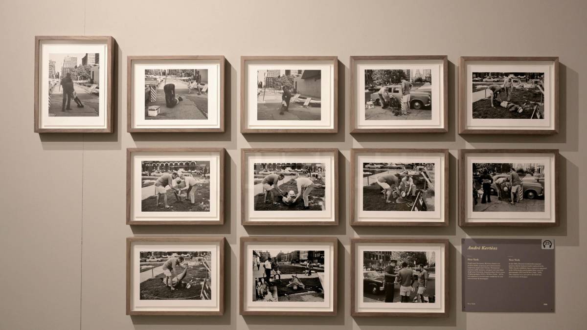 Lartique e Kertész, apre la mostra a Riccione / GALLERY