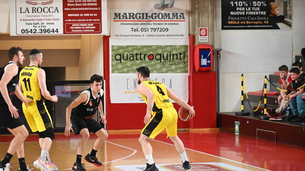 Basket B, Virtus: la bandiera Dalpozzo resta in giallonero