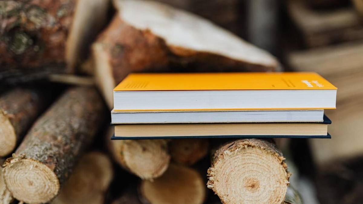 Come richiedere la visura catastale per la tua attività