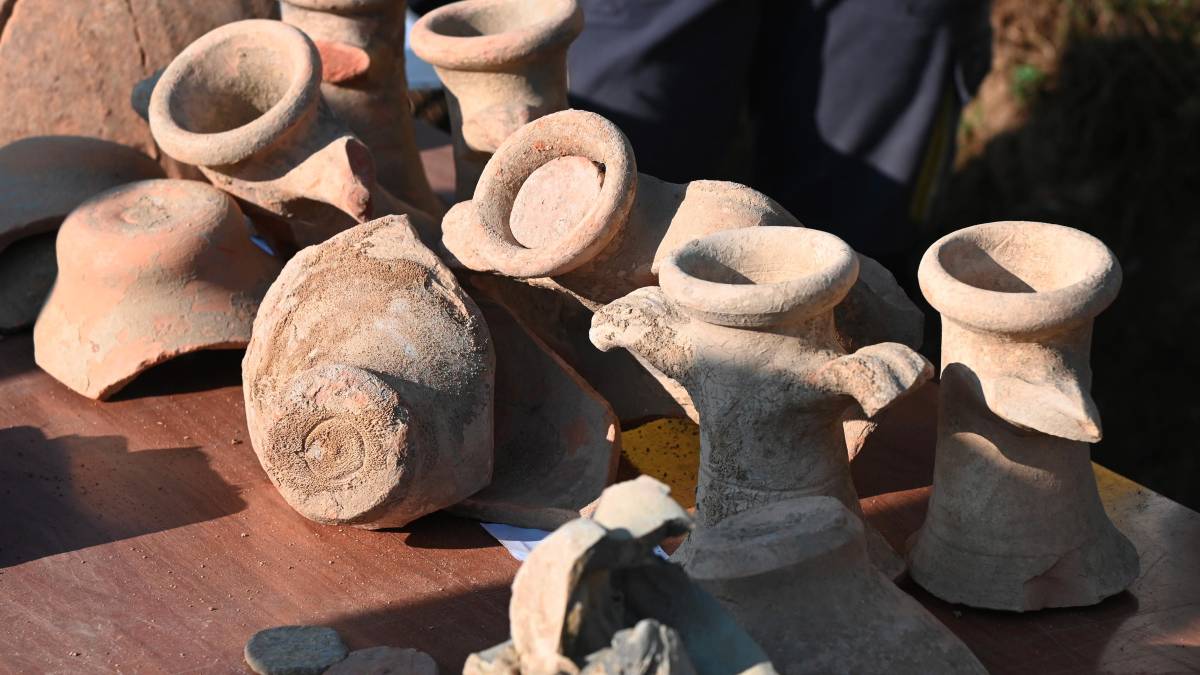 Forlimpopoli. Visite guidate alla scoperta degli scavi e dei reperti che raccontano la storia FOTOGALLERY