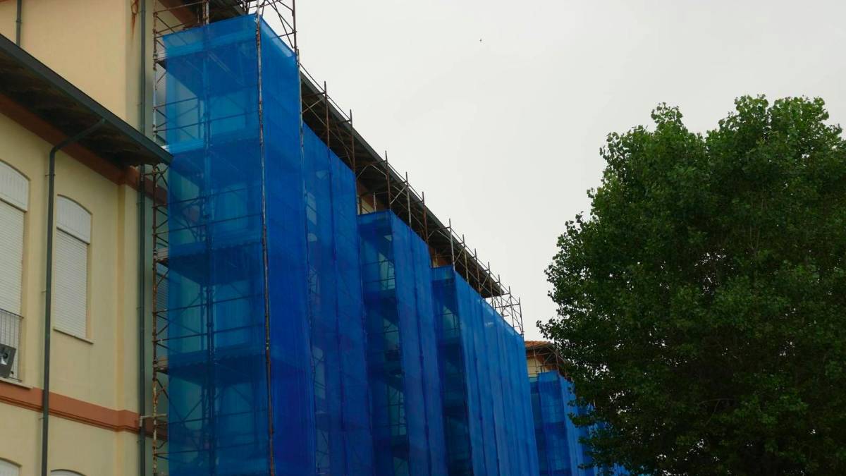 Bloccato il cantiere della scuola, salvati i rondoni che nidificano da 50 anni a Rimini