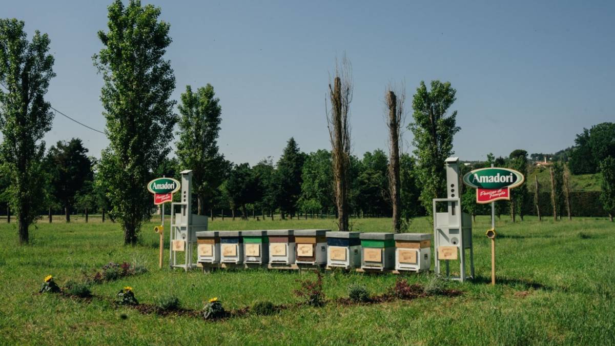 La Amadori di Cesena adotta 300mila api per la biodiversità