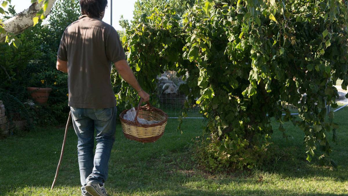 Funghi, bici, pesca e caccia: a Verghereto solo per i residenti