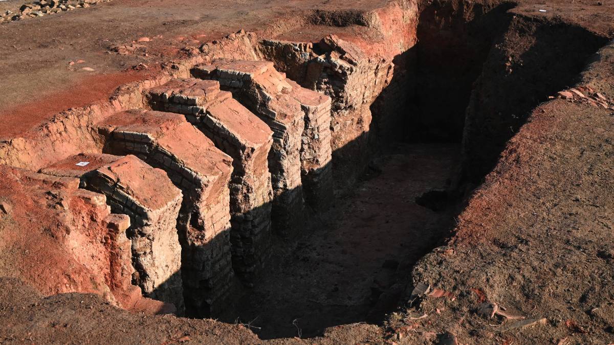 Forlimpopoli. Visite guidate alla scoperta degli scavi e dei reperti che raccontano la storia FOTOGALLERY