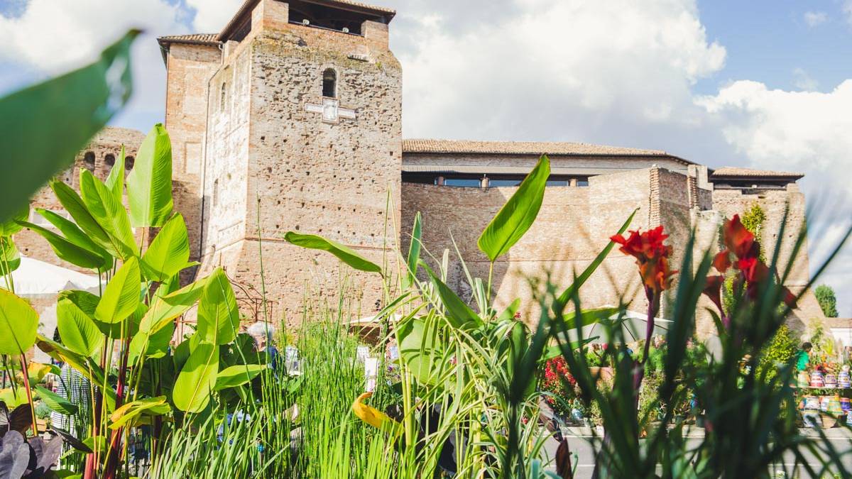 A Rimini sono sbocciati i Giardini d'autore. Tutte le foto
