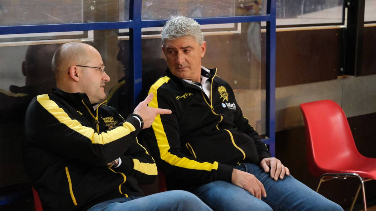 Basket C Gold, la Virtus Imola riparte lunedì