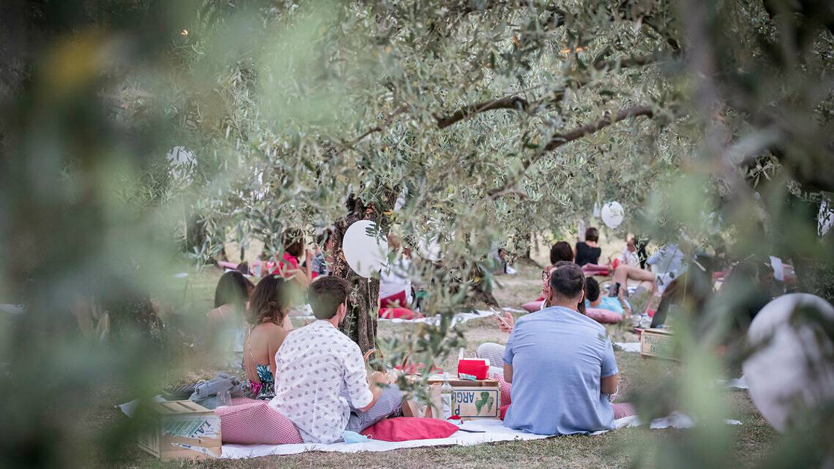 L'estate delle cene e dei pic nic in vigna e fra gli ulivi