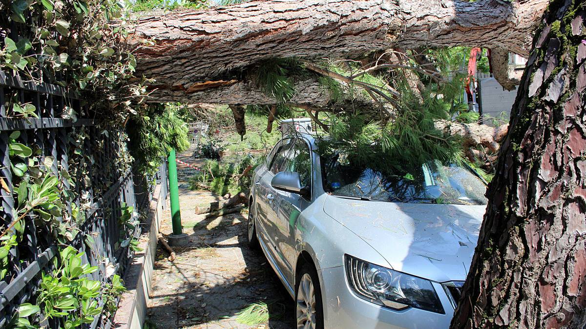 #getAltImage_v1($tempImage)