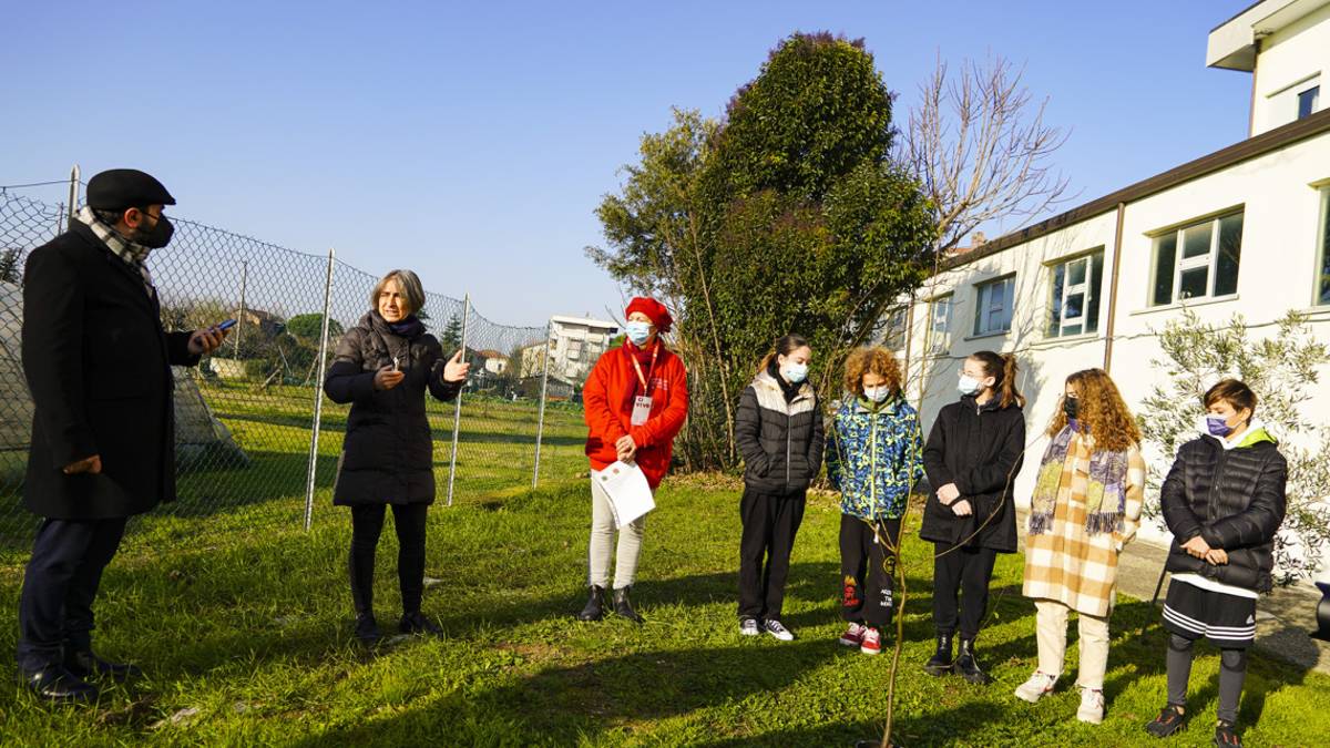 Rimini, 5 nuovi alberi nel giardino della scuola Dante Alighieri