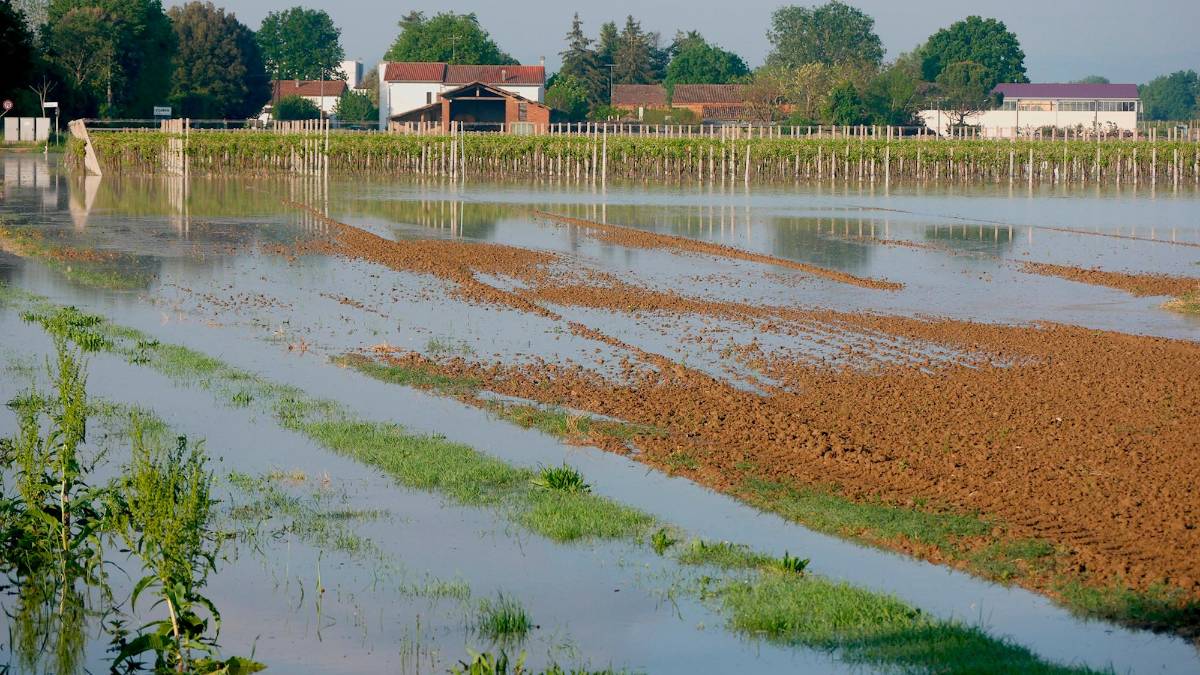 I campi allagati durante l’alluvione e secchi, dopo che l’acqua si è ritirata