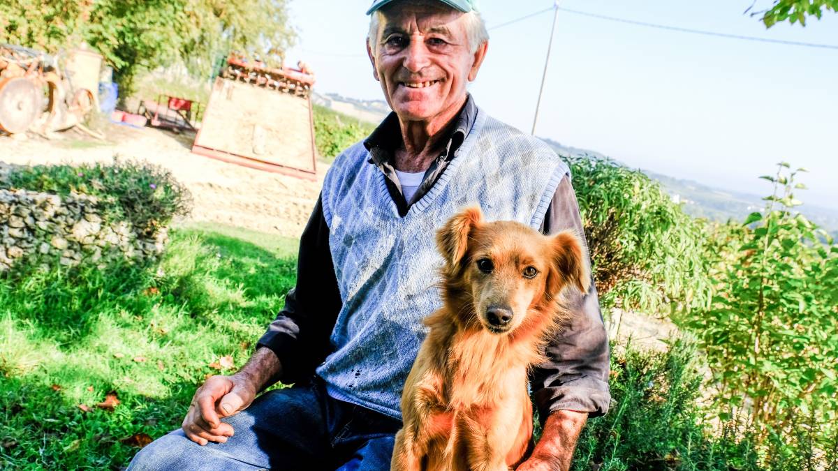 Tutto il sapore della biodiversità nei frutti di Domenico Ghetti