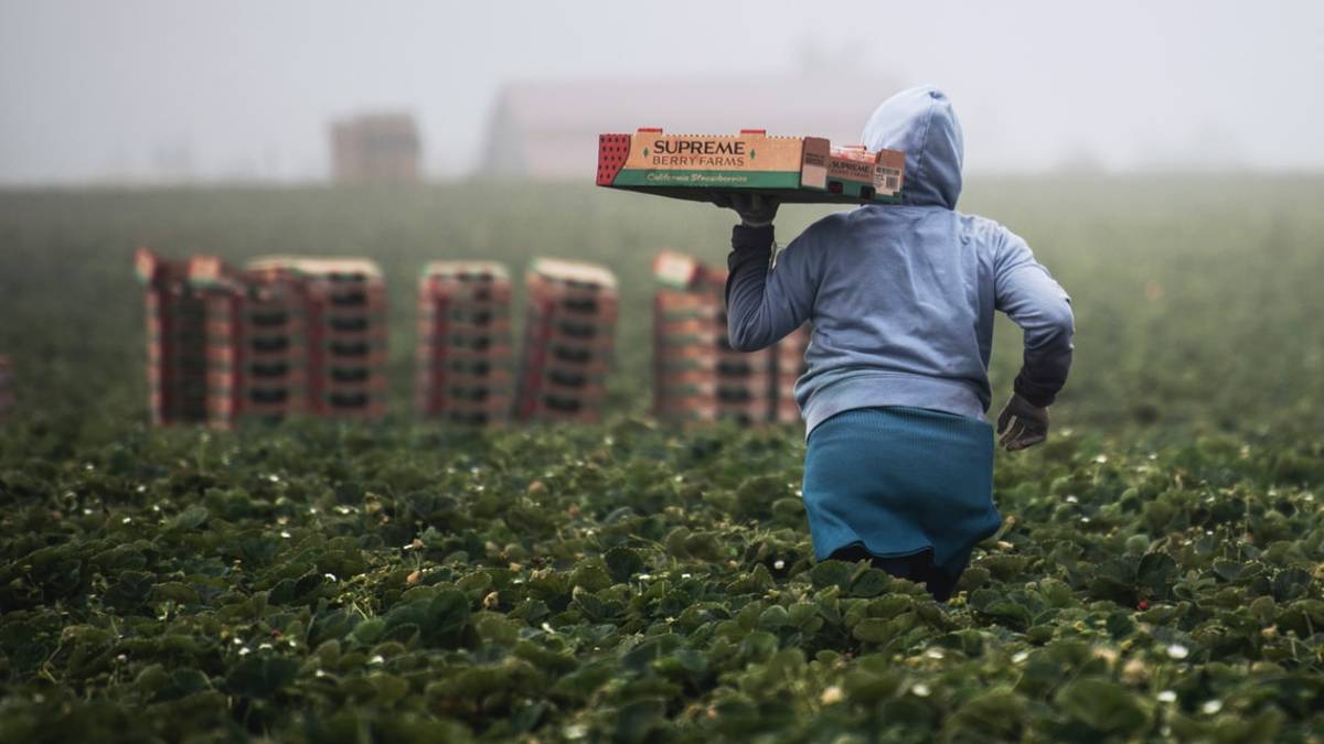 Lavoro e giovani, in nero il 34% degli emiliano-romagnoli