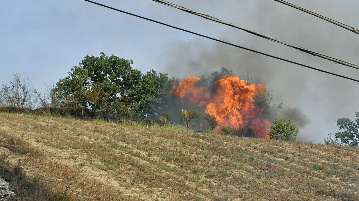 #getAltImage_v1($tempImage)