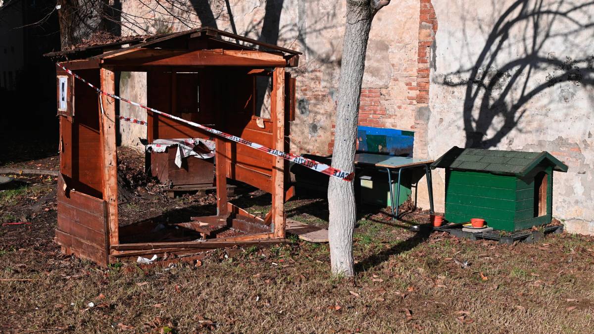 La casetta dei gatti fatta esplodere dai vandali nei giorni scorsi (foto Blaco)