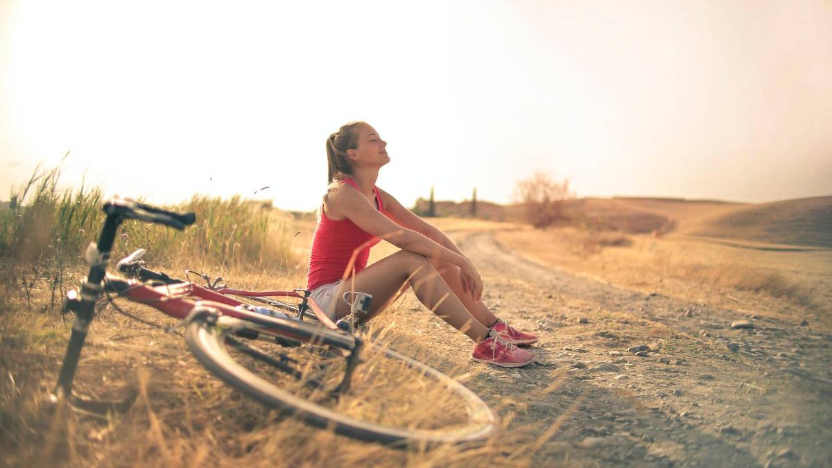La Romagna motore verde della transizione: crescono le certificazioni ambientali
