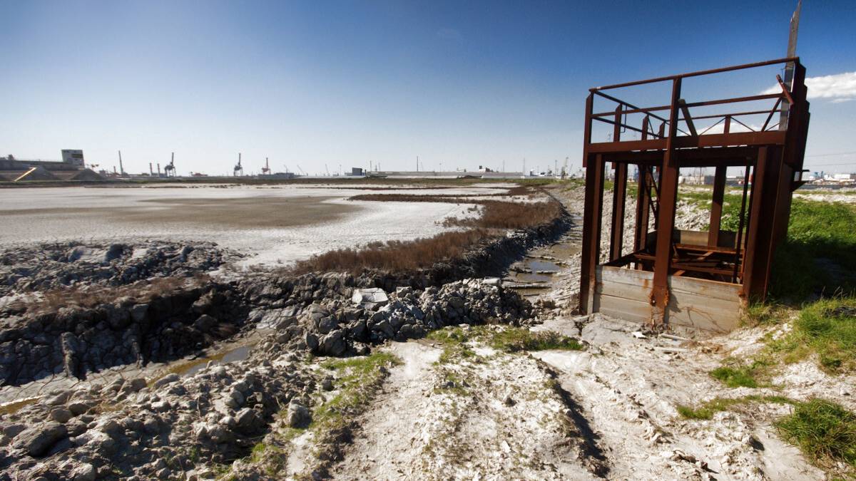 Casse di colmata, la Procura di Ravenna fa appello contro le assoluzioni