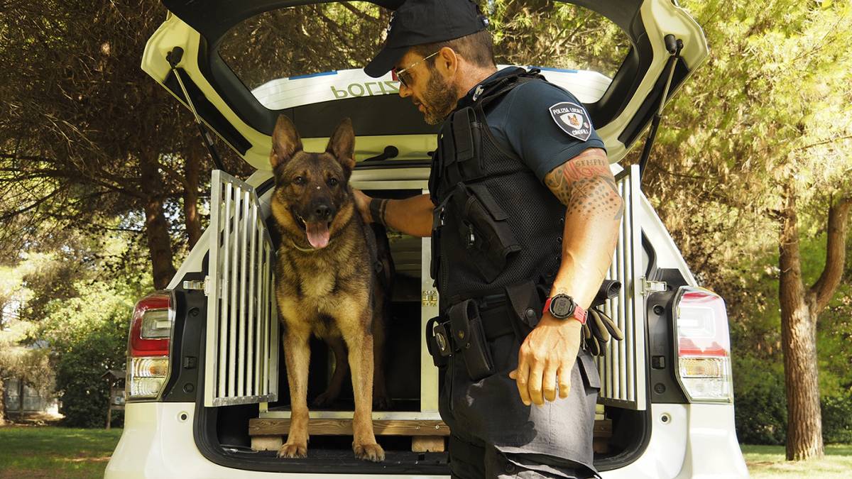 Rimini, il fiuto di Bruce e Iago fa arrestare uno storico spacciatore
