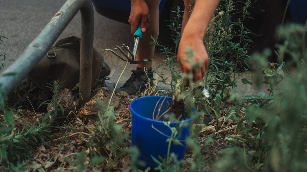 Oltre 6 italiani su 10 zappano l'orto: l'indagine di Coldiretti