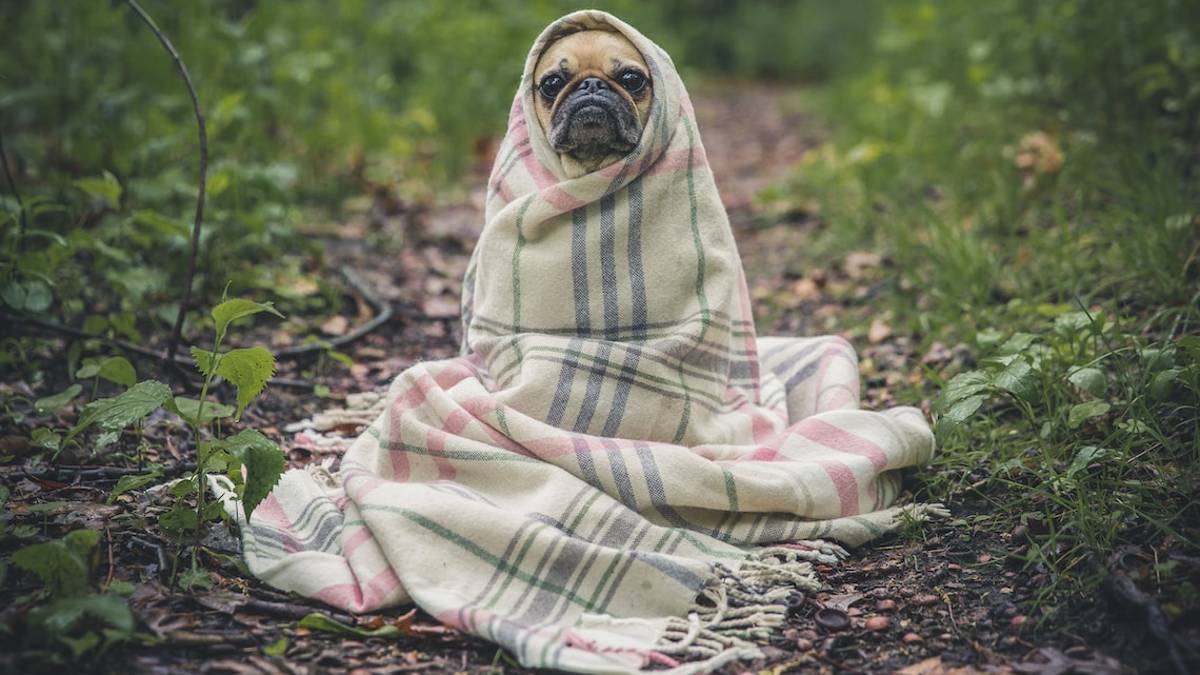 Meteo Romagna, verso Pasqua freddo e temperature invernali