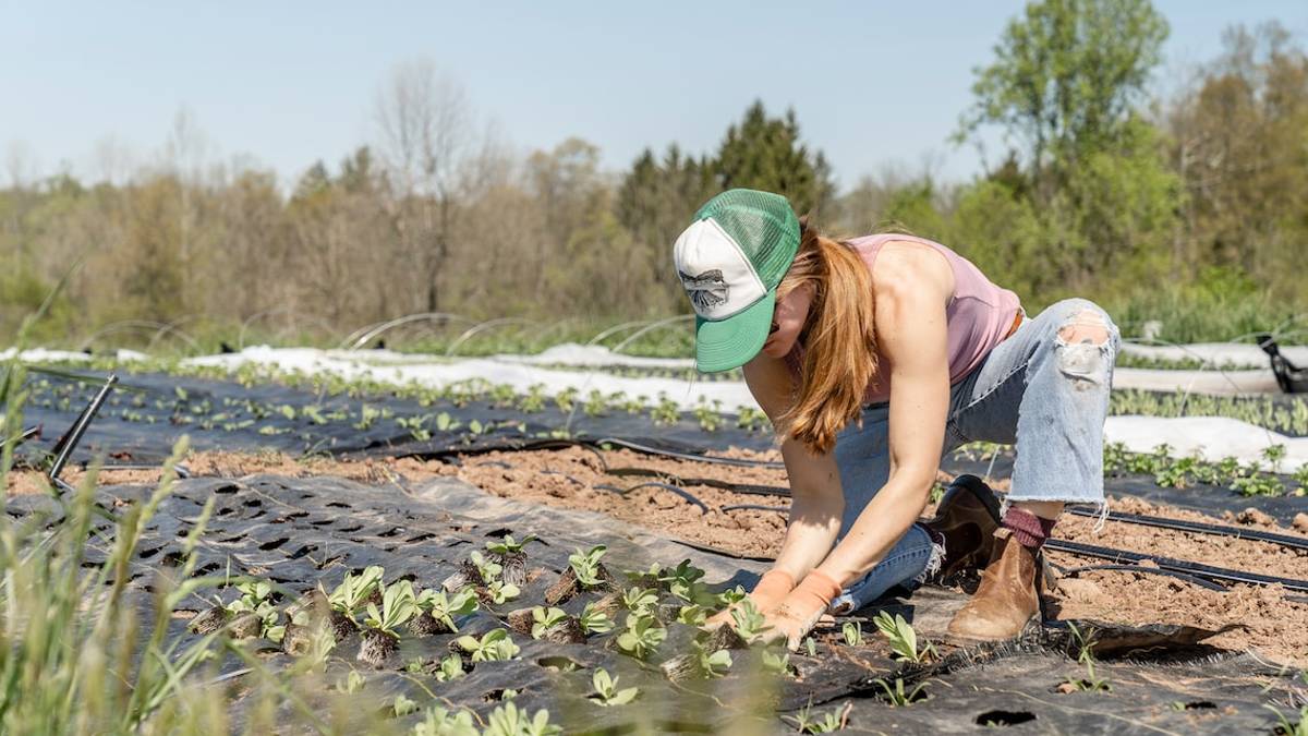 Lavoro, Coldiretti: Nei campi c'è posto per 100mila giovani