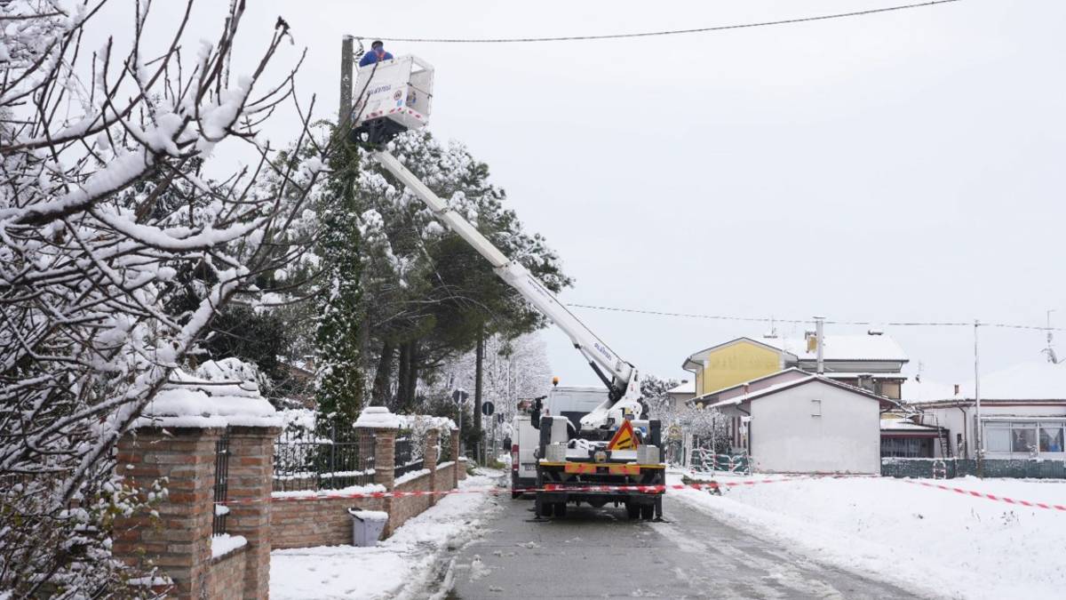 Cesenatico, cade un albero sulla linea elettrica: via Vetreto chiusa