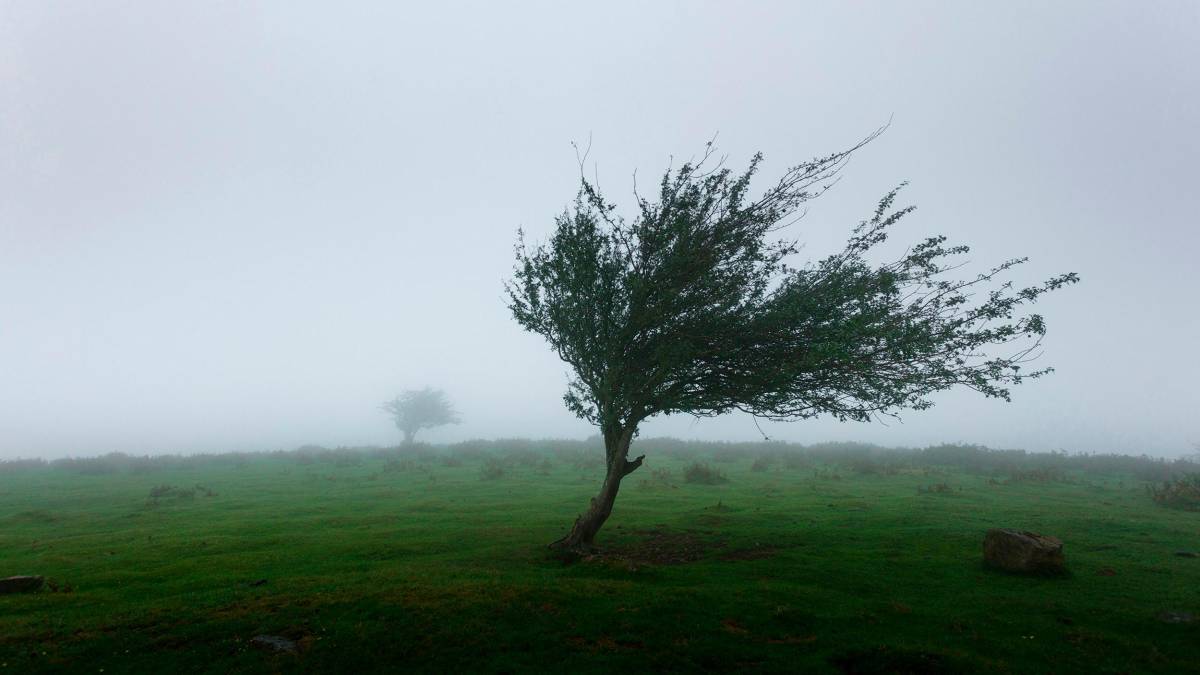 Meteo Romagna, il 2 giugno pioggia e temporali, allerta arancione per vento sull’Appennino