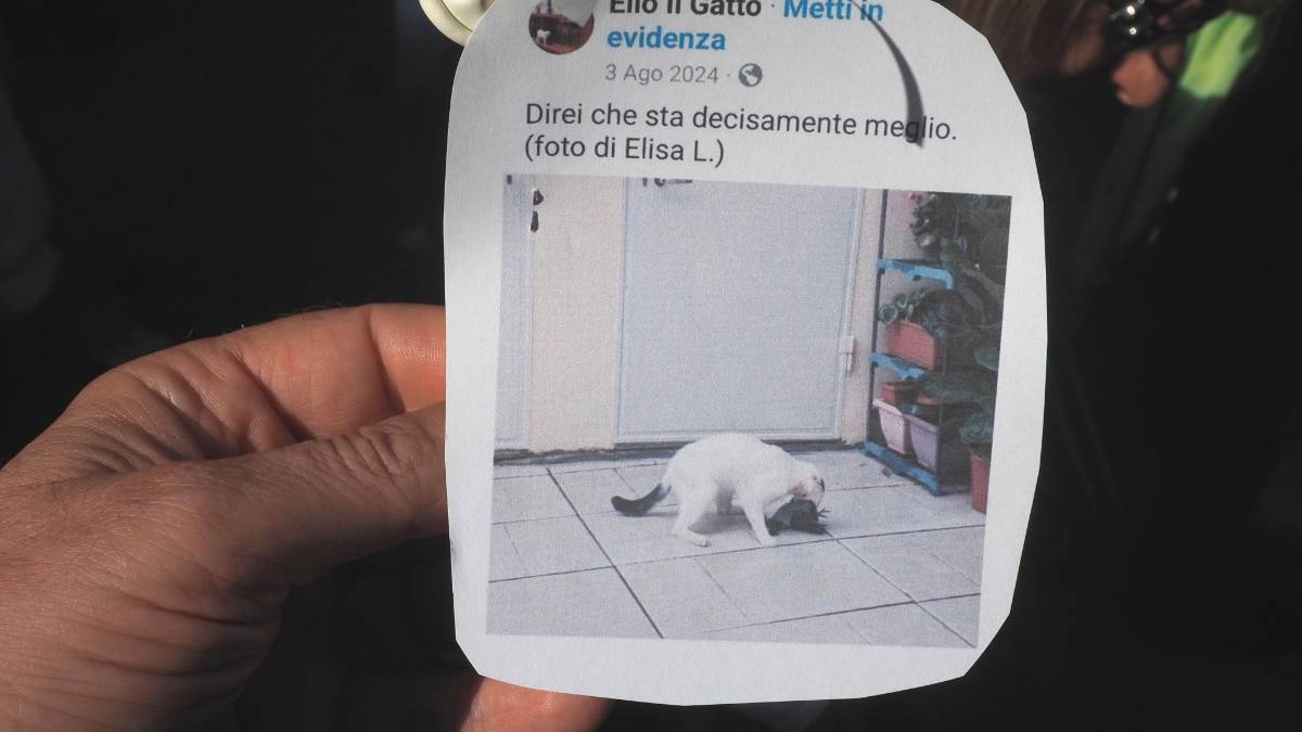 Russi, l’ultimo saluto ad Elio, il gatto della comunità