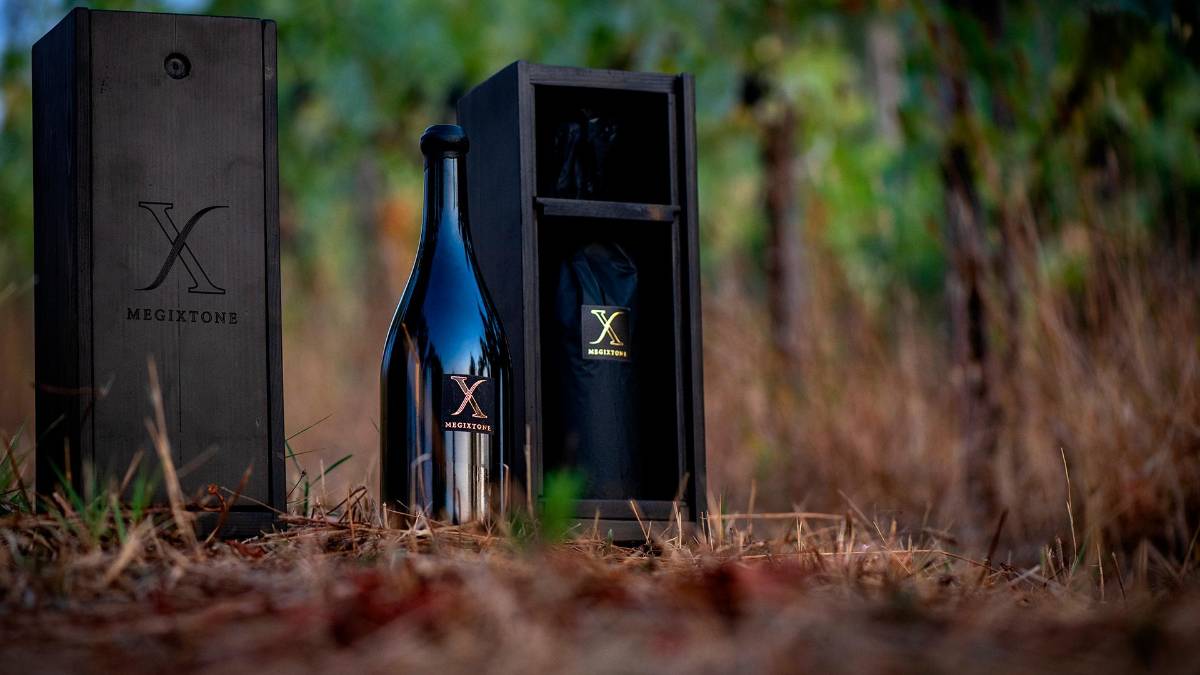 Il vino made in Italy più esclusivo: un gioiello tra storia, tradizione e innovazione